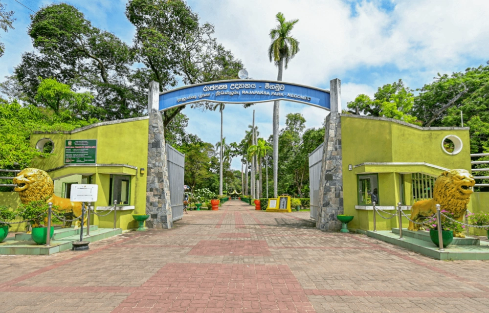 Topaz Beach Hotel Attraction Pictures